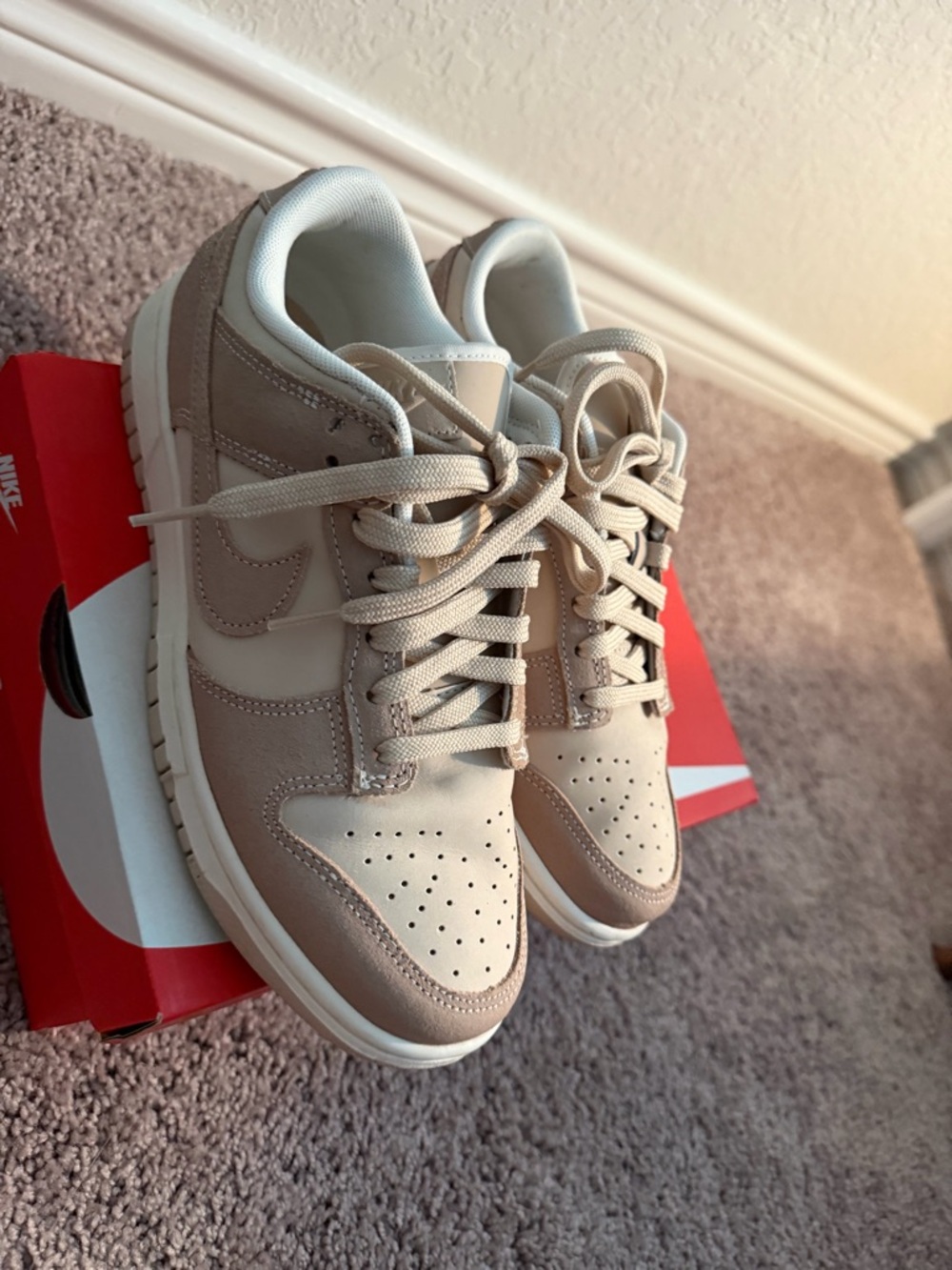 Nike Dunk Low sanddrit